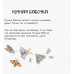 В гостях у природы - Знакомые насекомые